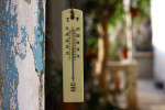 canicule