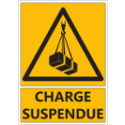 Signalétique "Danger charge suspendue"