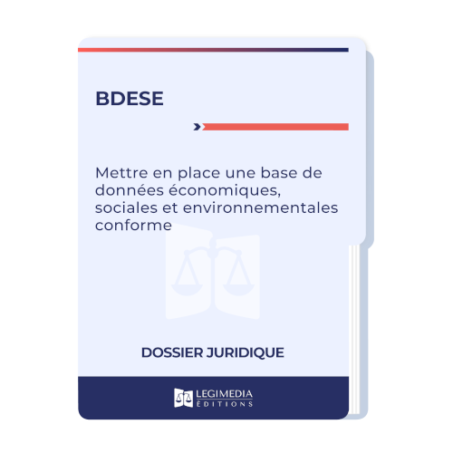 La base de données économiques, sociales et environnementales : mettre en place une BDESE conforme